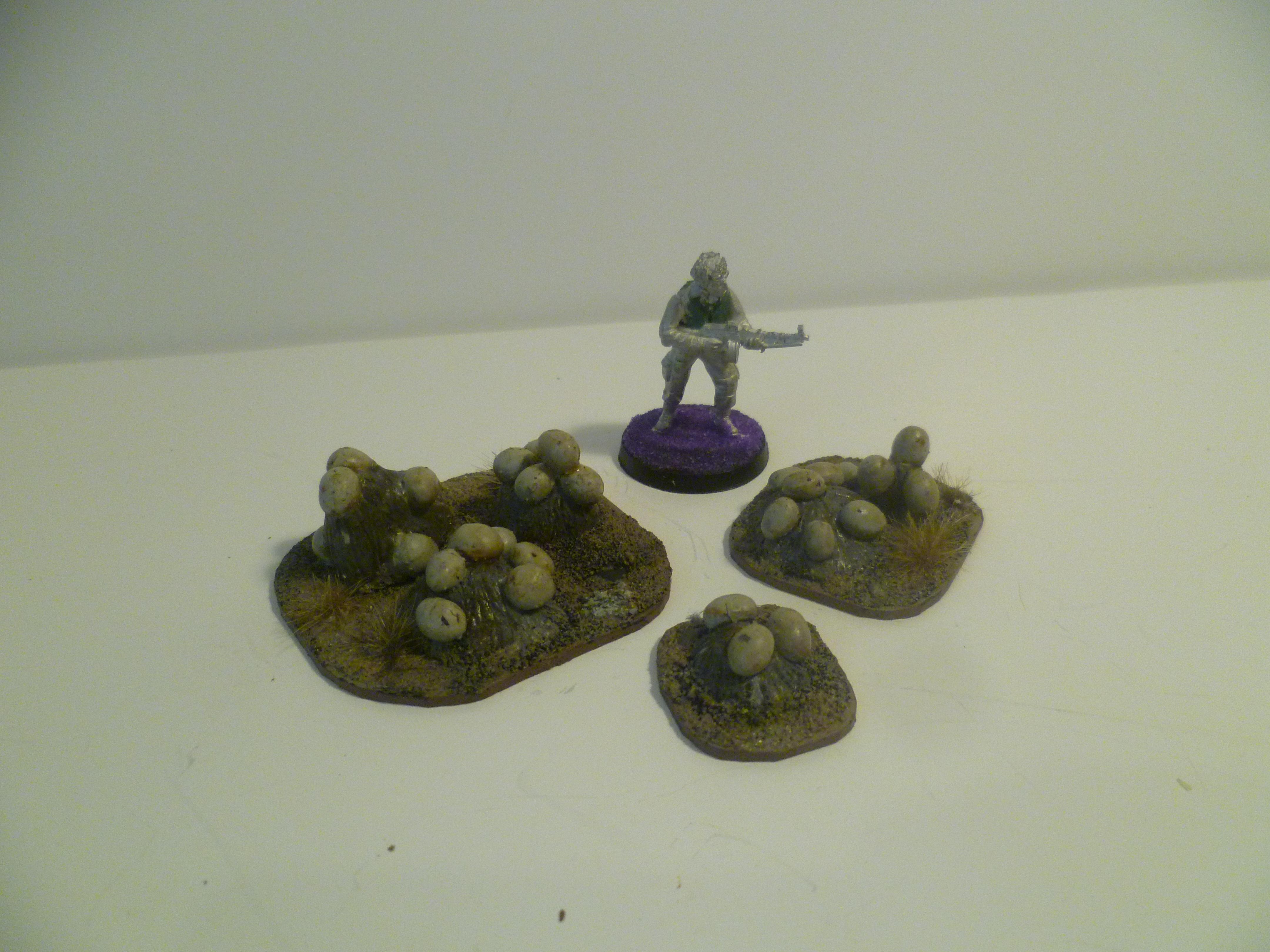 egg clutches egg clutches Gallery DakkaDakka